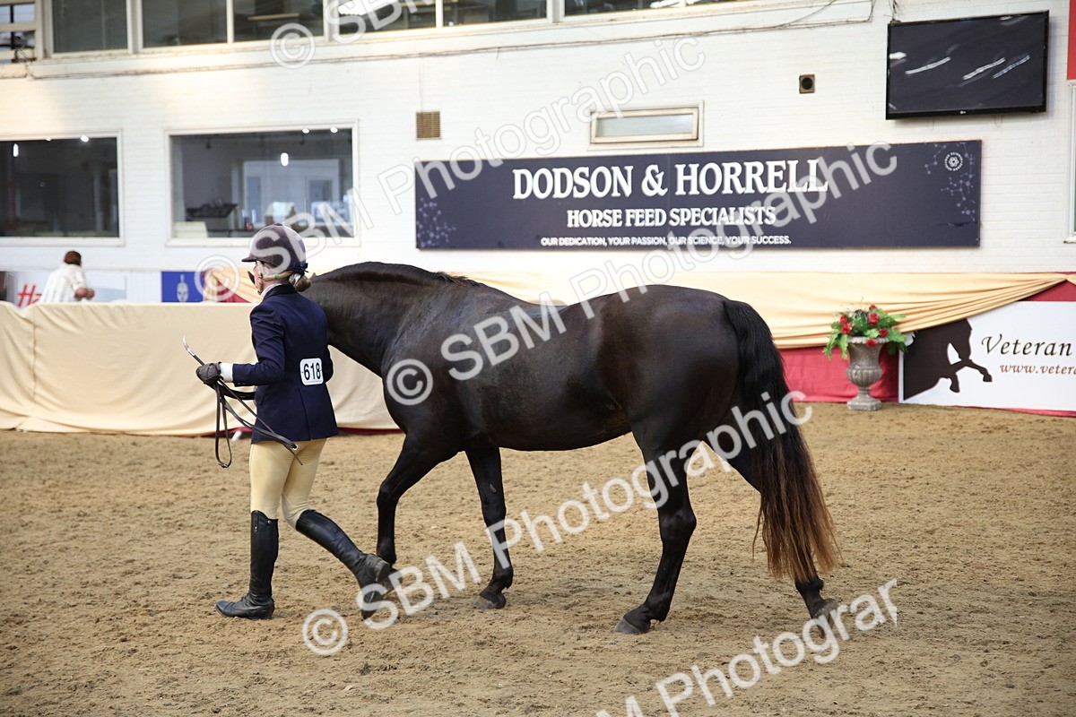 SBM_24767 - Class 906 - Supreme Final - Ridden Pre Vet