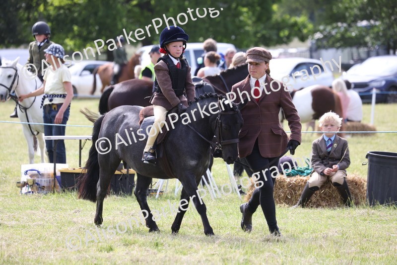 20260614-0597 - Class 20 - Beginners Working Hunter Pony