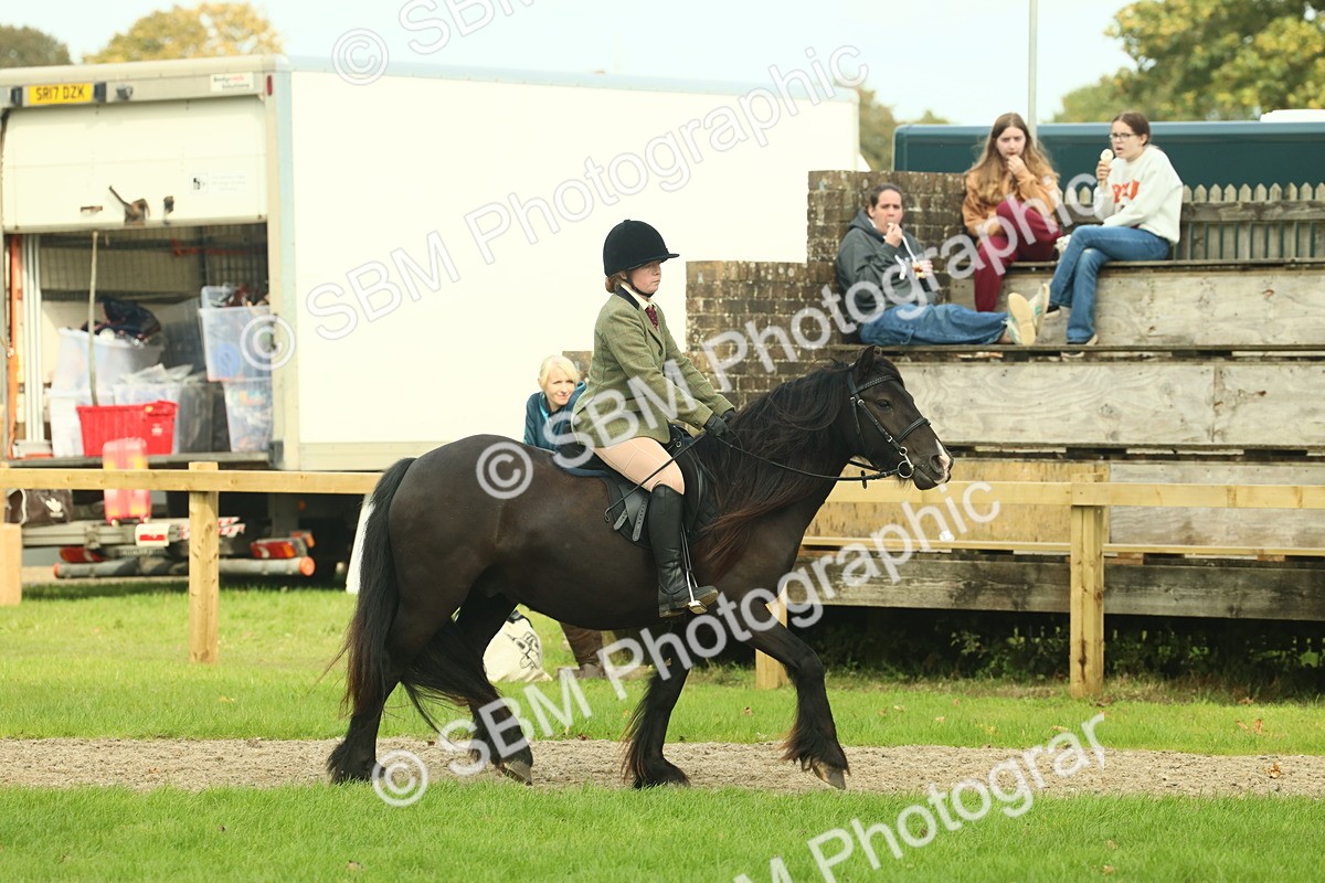SBM_68204 - S58 - Mini Show Cob Ridden
