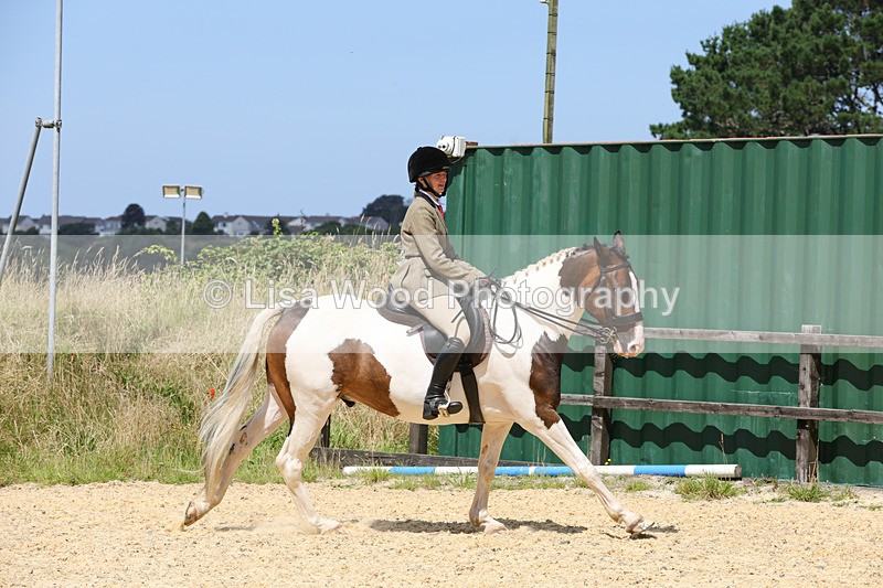 1X9A8793 - Class 19: Riding Club Horse