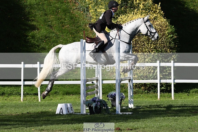 231022-130643-27516 - 463-HOLOGRAM.SCAIS-Chris.Brentnall-TrotUp+SJ