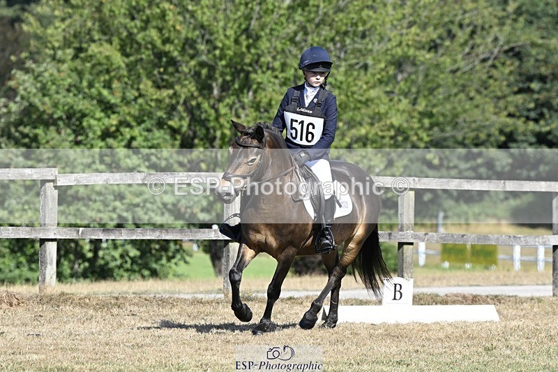 250822A-101408-20180 - DR 10.00 to 11.00