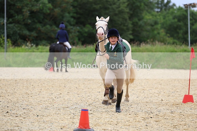 3E7A9324 - Walk trot run