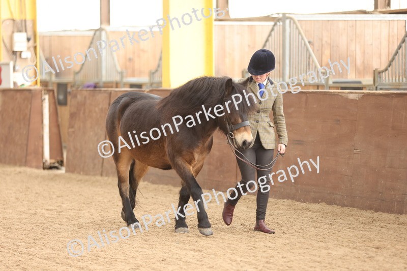 20251109-0579 - Class 22 - Geldings 4 Years and over