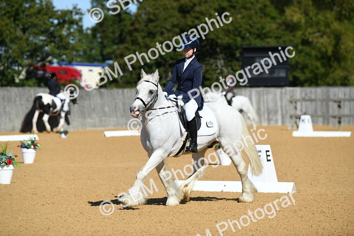 SBM_18104 - D4 - Small Tour Championship - Intro B