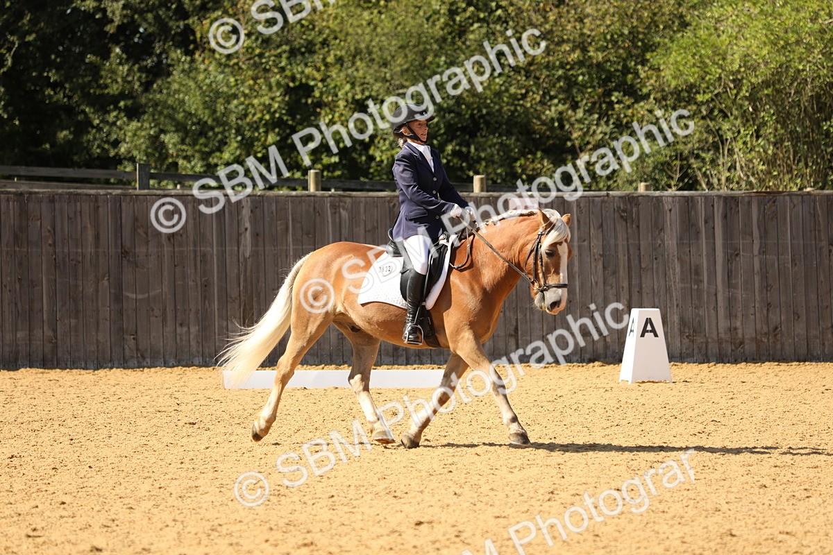 SBM_22399 - D17 - Grand Tour Championship - Novice 27