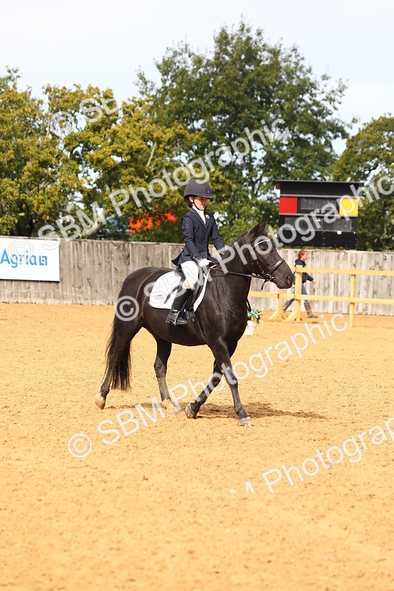 SBM_42609 - D21 - Junior Championship Intro 1