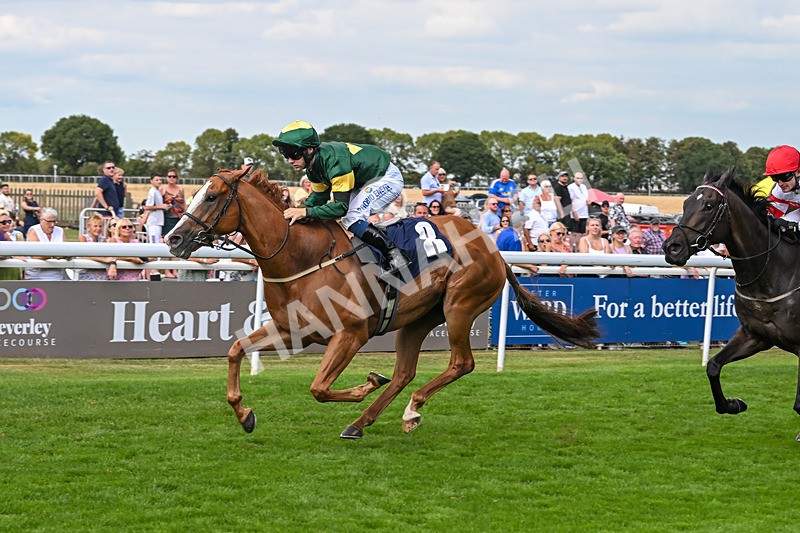 130825-Race 4-Rock Of England-1253 - Race 4