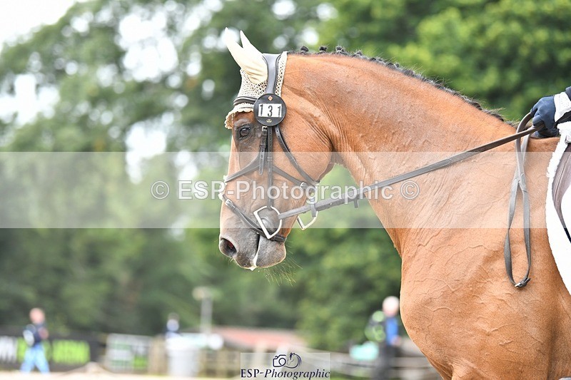 230812-114951-03710 - Cls 6 Novice Silver 10.30 to 11.55 break