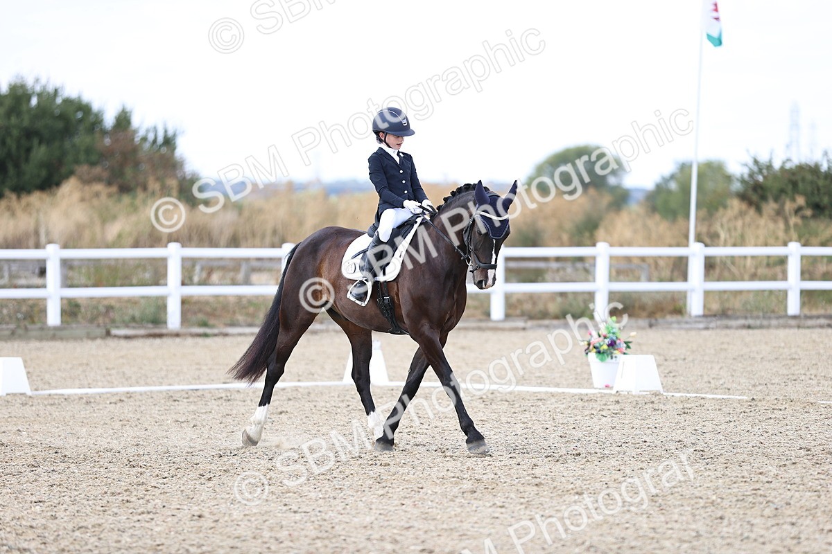 SBM_015312 - Class 5 - E5 Bronze 14.42.15.54