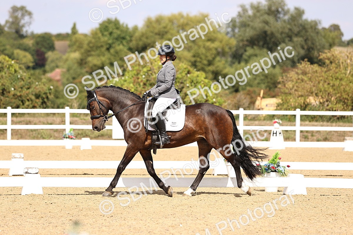 SBM_015016 - Class 6 - Elementary 5