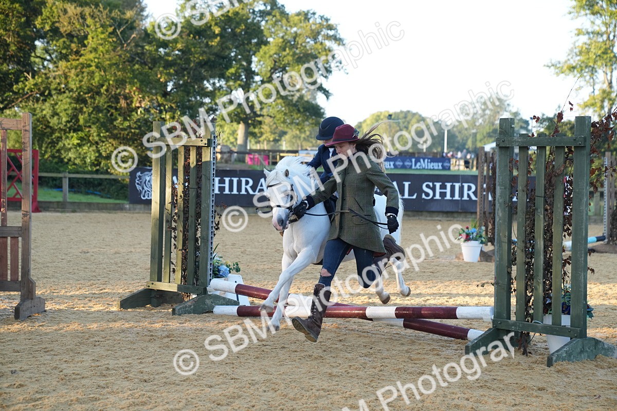 SBM_58846 - J63 - Minis Clear Round 30cm 40cm