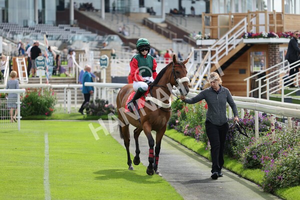 yr04092022p1-30 - 12.30pm 148cm Conditions Pony Race