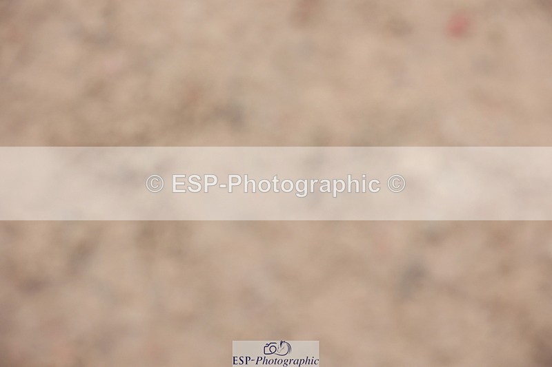 231112A-120942-03990 - Cls 18 Discovery & 1m Open