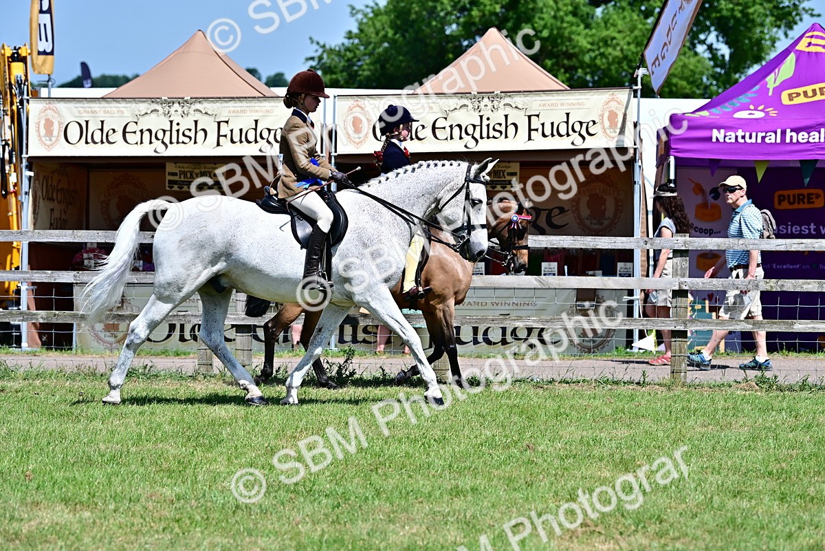 SBM_17536 - Class 95-97 - BSPS LHS Performance Ponies