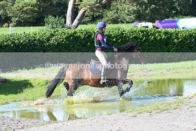 WJ7_9562 - Time 10:47 to 11:01