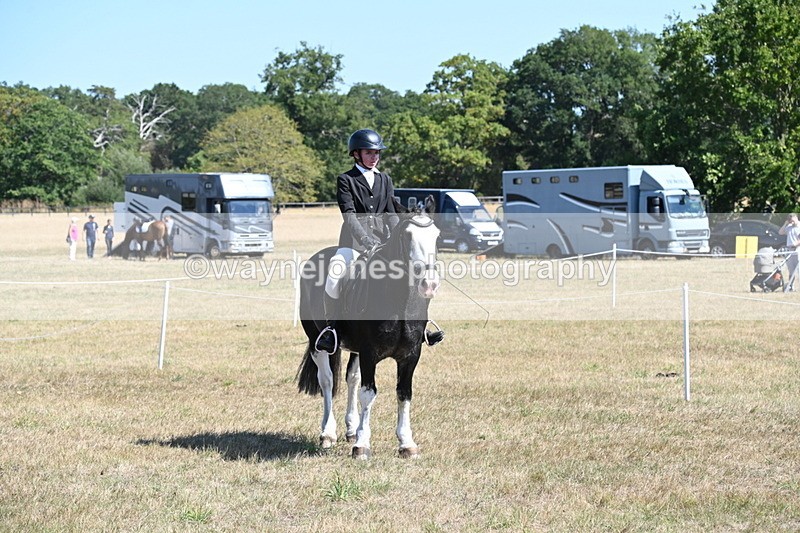 WJ6_8453 - Class 37a Best Loan Pony Ridden