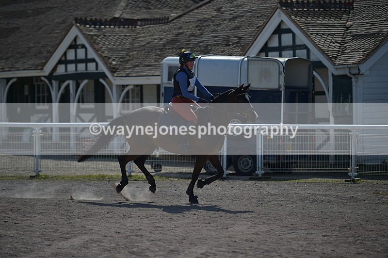 NGP_8249 - XC Time 13:29 to 13:34