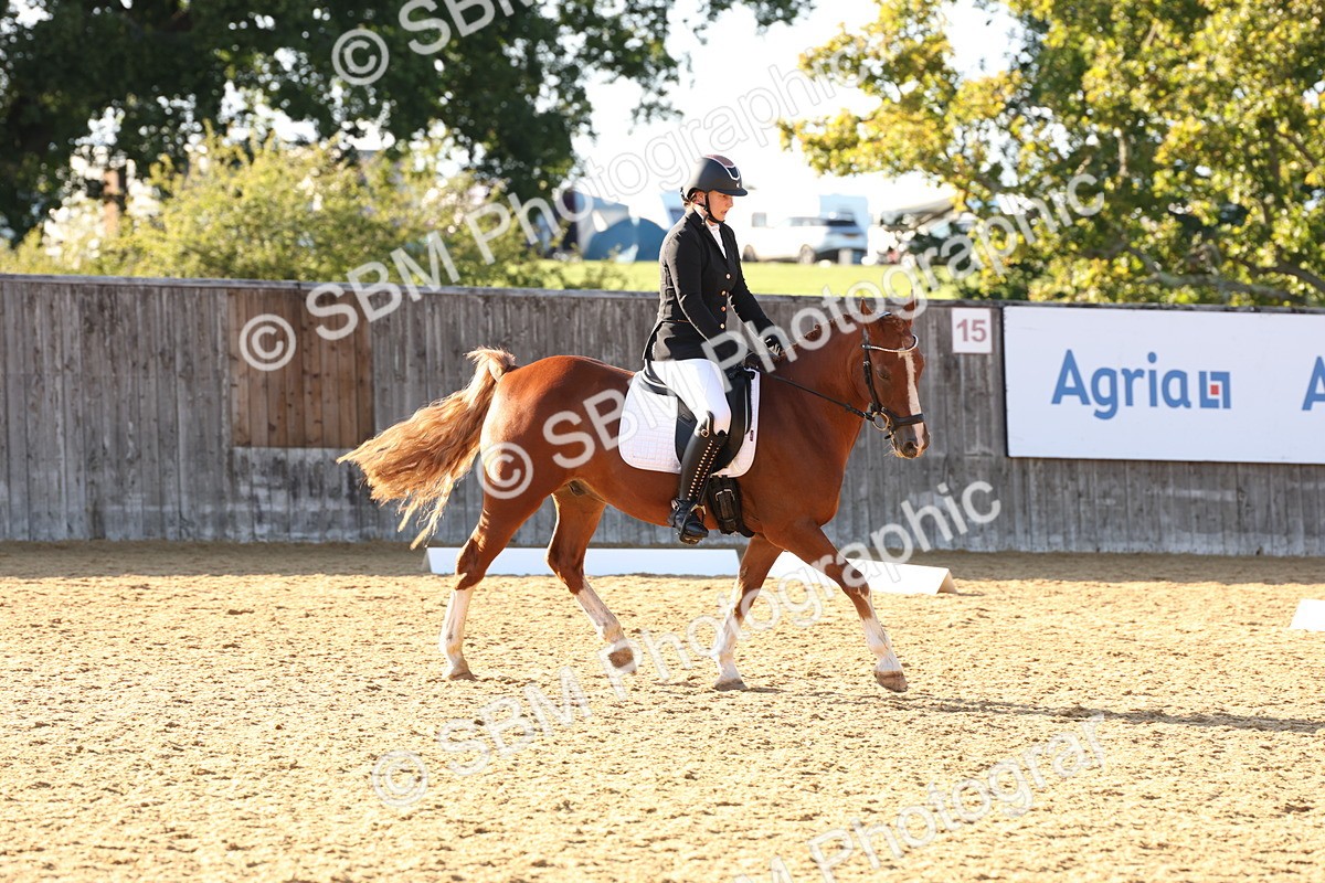 SBM_11673 - D9 - Small Tour Championship Prelim 3