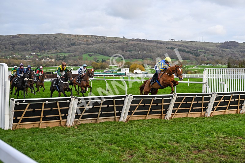 161125-Race 1-Astelia-5562 - Race 1