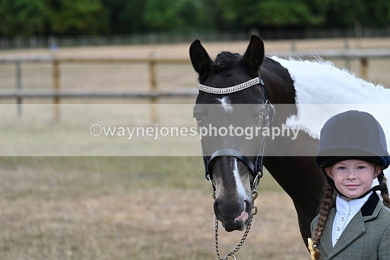 WJ7_9698 - Class 5 Most Handsome Gelding (up to 14.2hh)