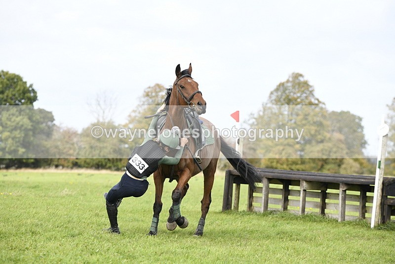 _DSC7939 - Time 12:55 to 13:13