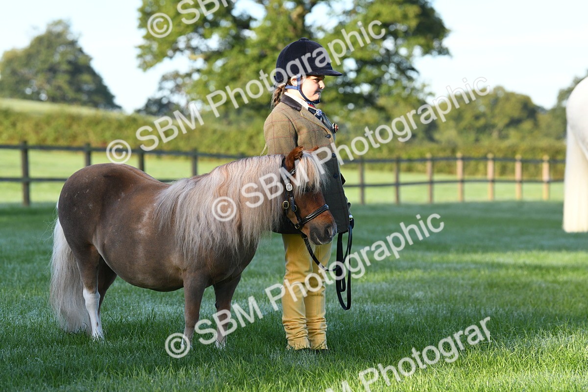 SBM_32625 - S15 - Condition & Turnout In Hand