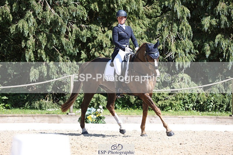 230526-145615-06588 - 376-DIRECT_BALLYTARSNA_DUCAREL-Jodie_Amos-WEDTrotUp+DR