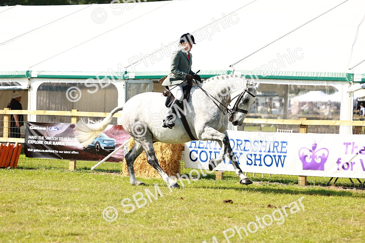 SBM_11954 - Class 66-69 - RIHS Ridden Hunters Inc Small Hunter