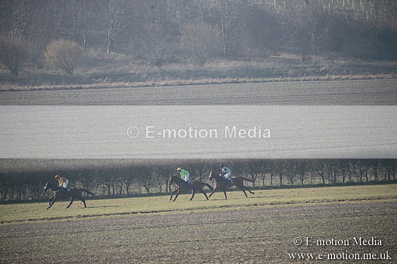 PtP 230219 291 - Vine & Craven Point-To-Point - Barbury 23/02/19