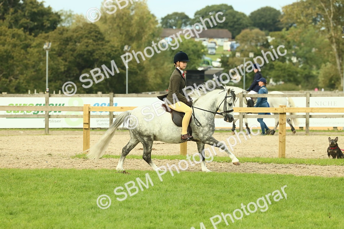 SBM_69856 - S59 - Mountain & Moorland Ridden Small Breeds