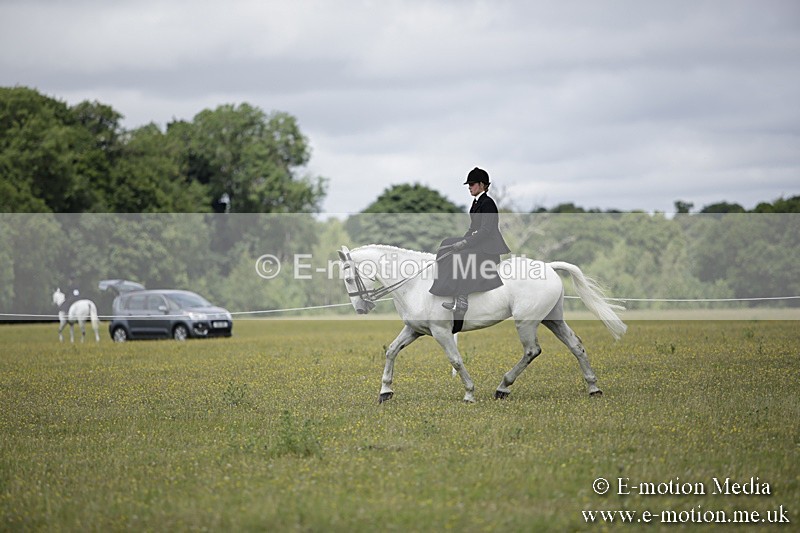 BVR160717-1954 - Side Saddle Classes 16/07/17