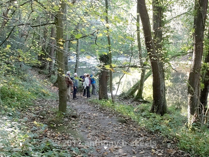 039 To pause at the beauty all around us. - Third Saturday Walks Collection Two.