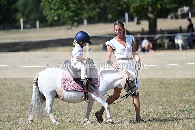 WJ7_1230 - Class 41 Prettiest Mare