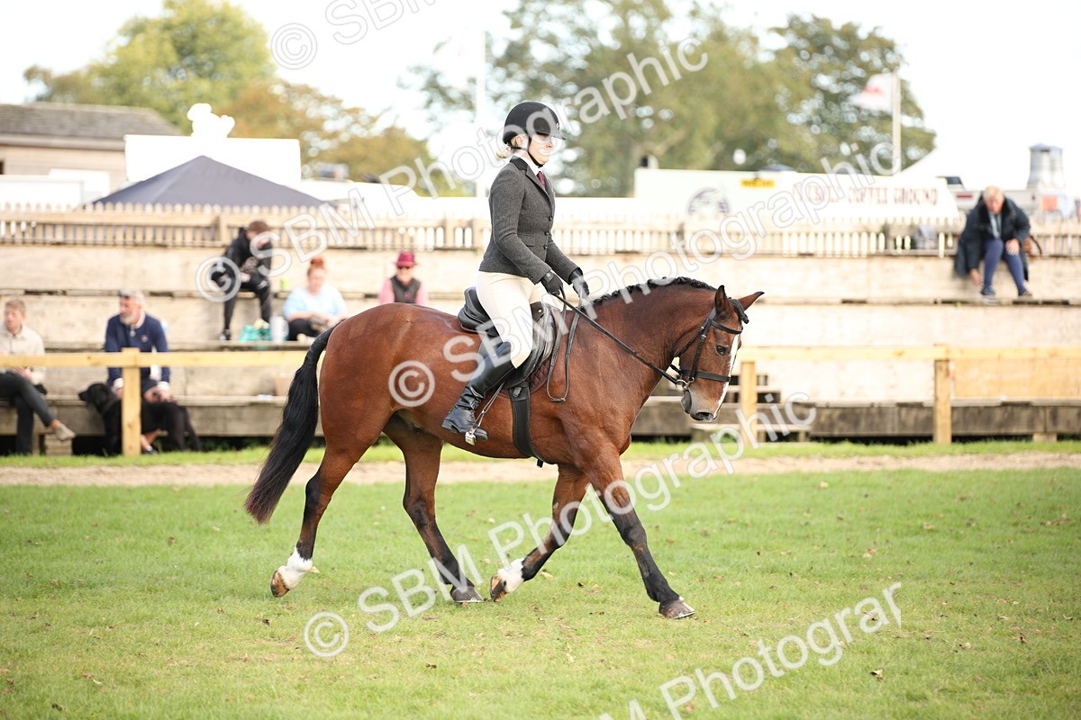 SBM_50235 - S26 - Young Veteran - Ridden