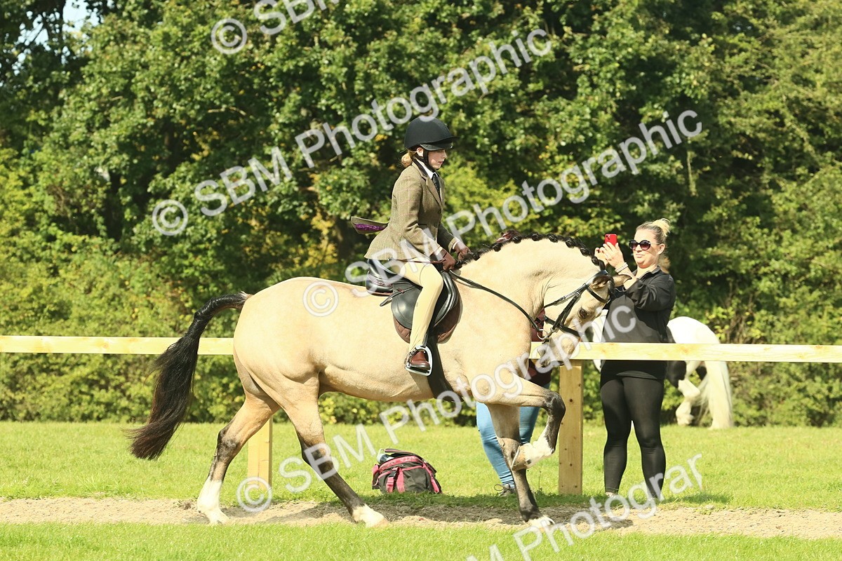 SBM_67459 - S56 - Coloured Pony Ridden