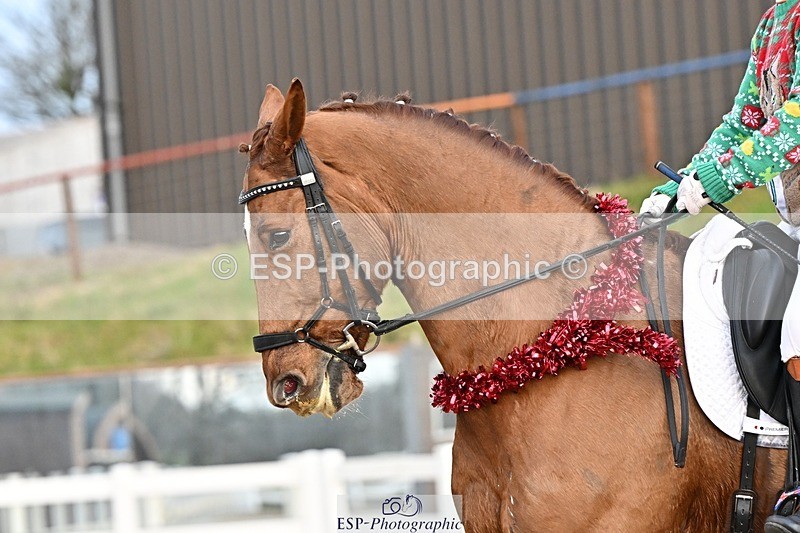 241214-150838-03117 - 137-Tyler.Bradshaw-Gijsbert