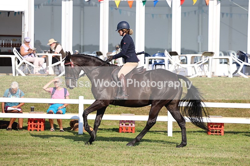 3E7A5612 - Class 2: Rising Star Large Hack/Riding Horse