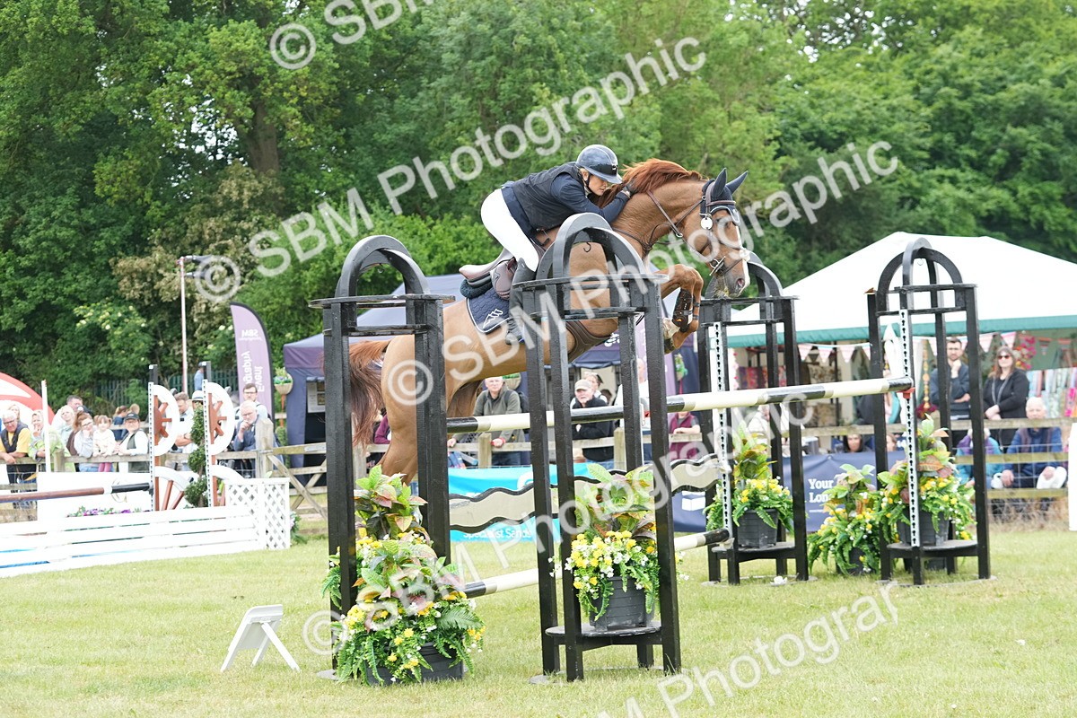 SBM_05293 - Class 201 - British Horse Feeds Speedi Beet Horse of the Year Show Grade  C