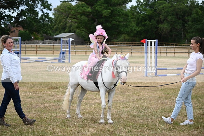 WJ6_5007 - Class 11 Fancy Dress
