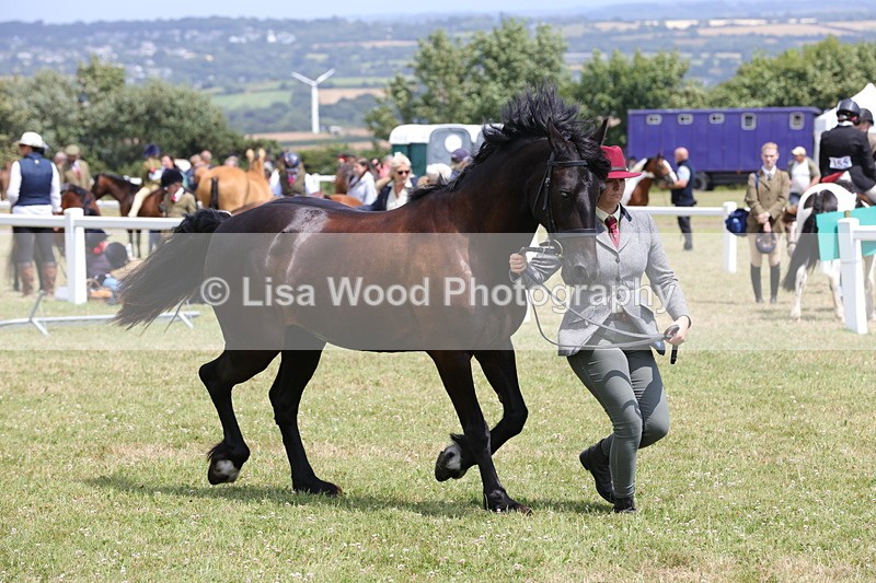 1X9A4857 - Class 35: Veteran In Hand