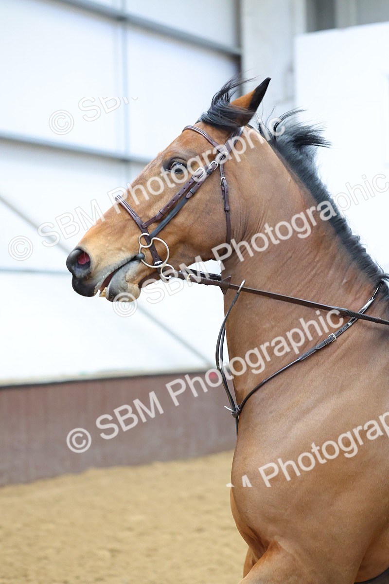 SBM_002683 - Class 8 - Senior Newcomers - 1.10m