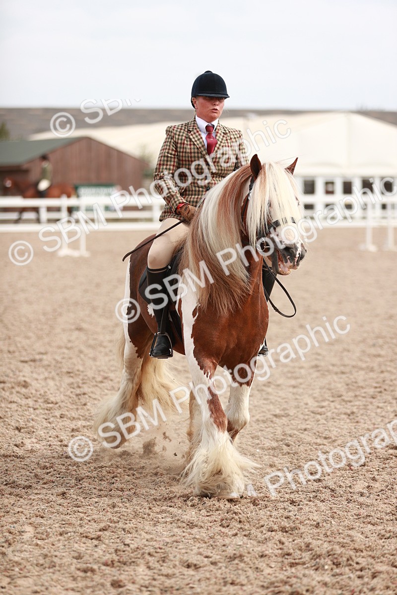 SBM_16791 - Class 214 Ridden Cob