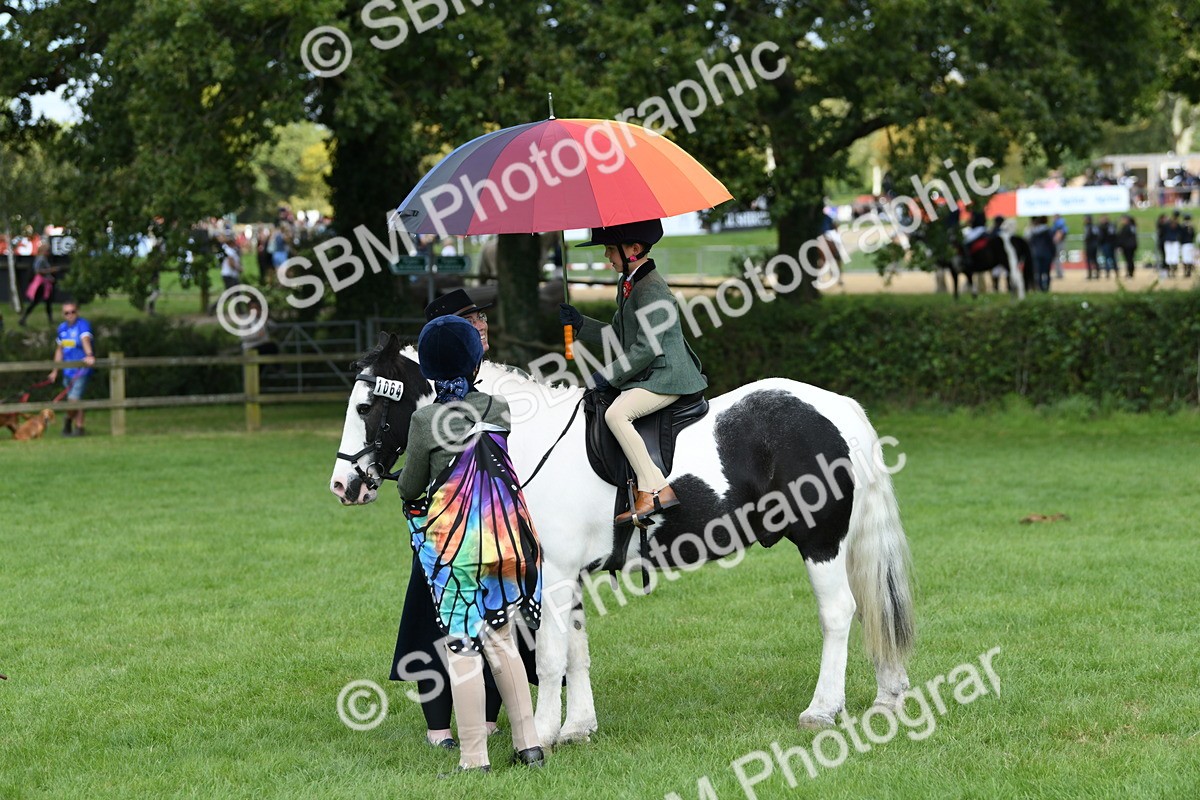 SBM_47005 - S12 - Family Horse & Pony