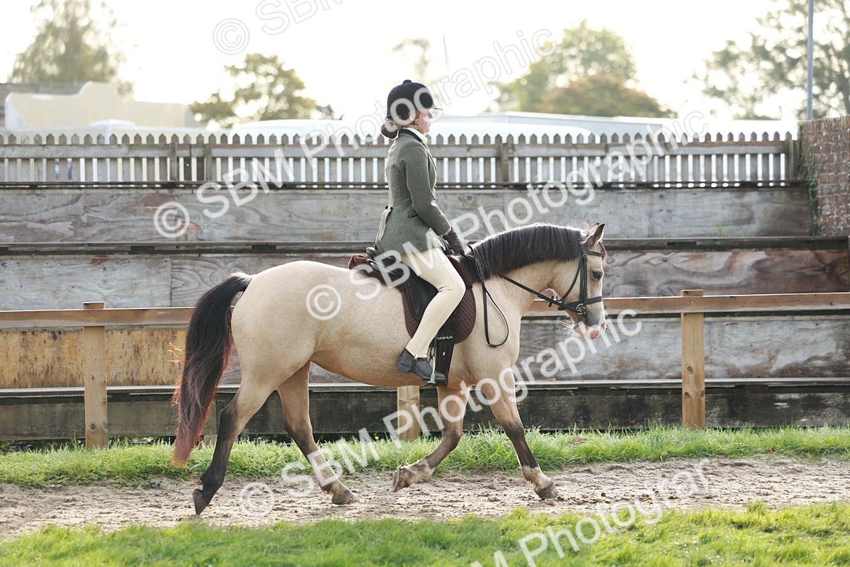 SBM_56338 - S39 - Starters In Hand Showing