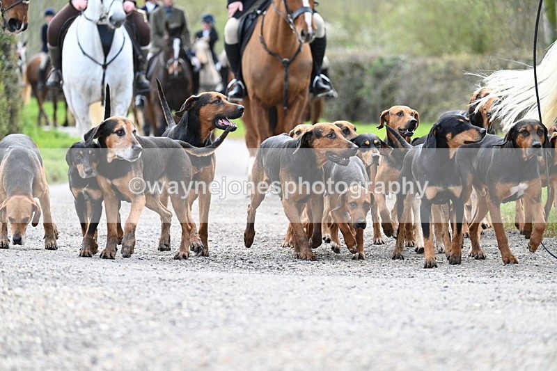 WJ7_9807 - Walk Home