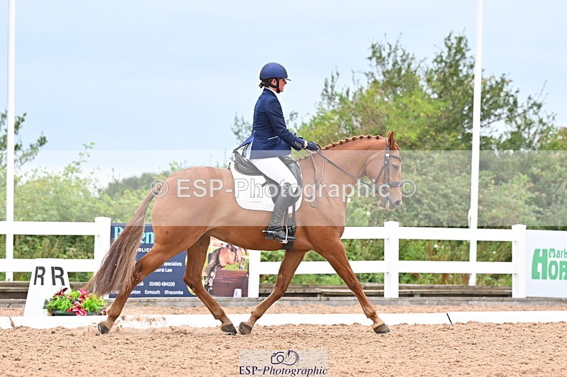 240817A-150109-09751 - 302-Charlotte.Billson-Killycloghan.Sun.King