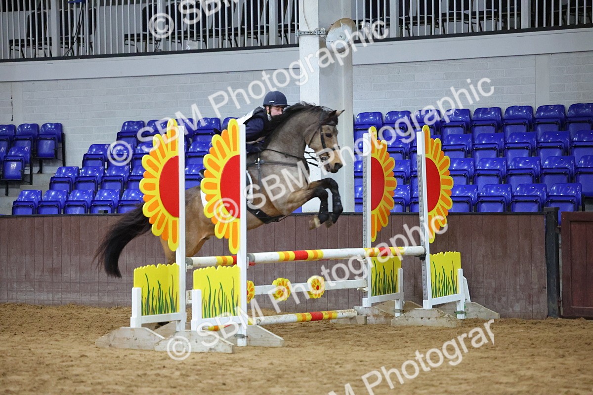 SBM_001939 - Class 5 - Show Jumping 80cm