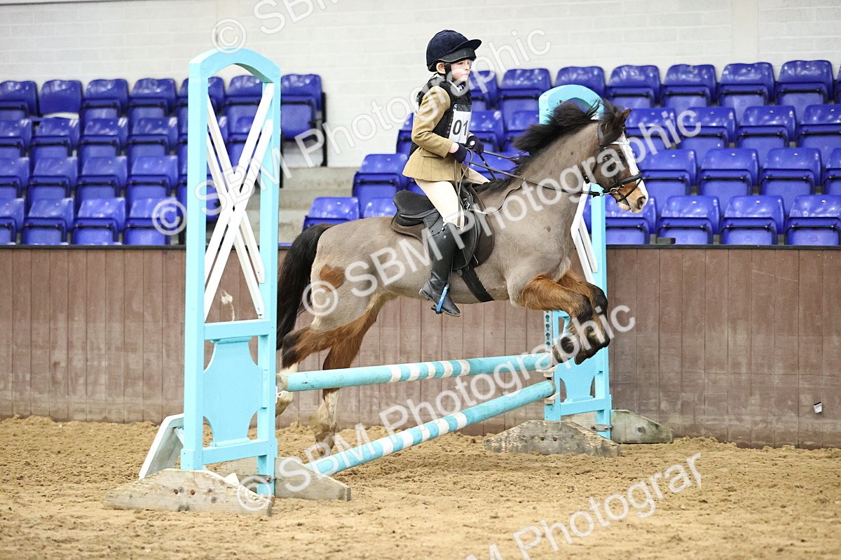 SBM_000815 - class 3 - 60cm