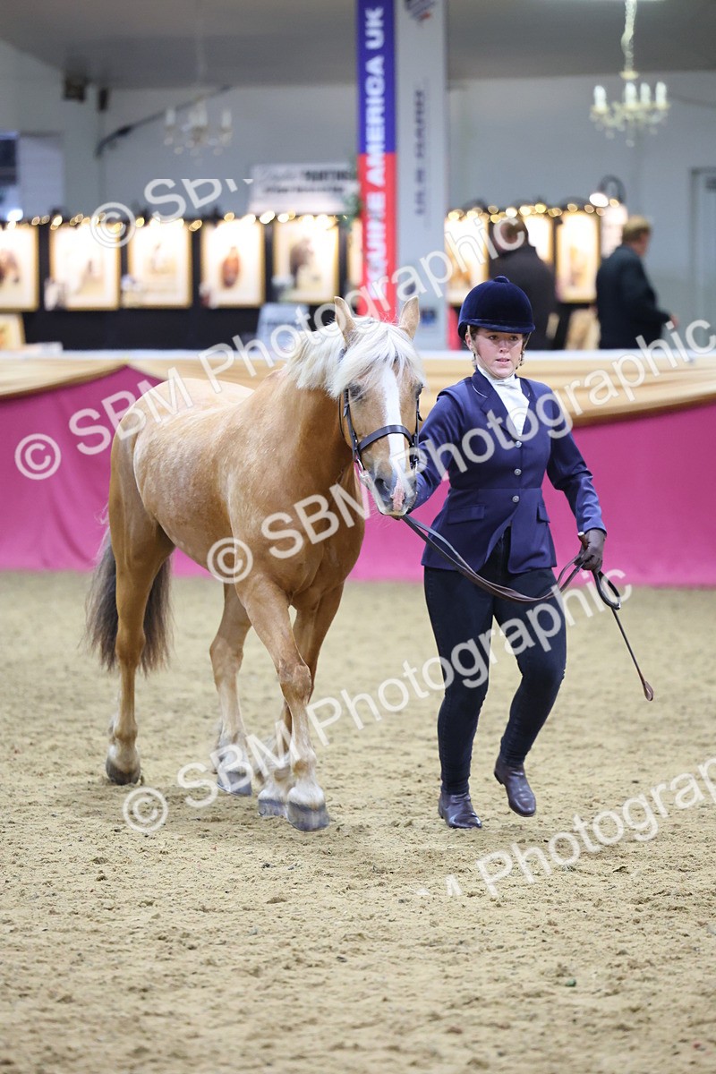 SBM_19658 - Class 901 - Supreme Final - IH Diamond